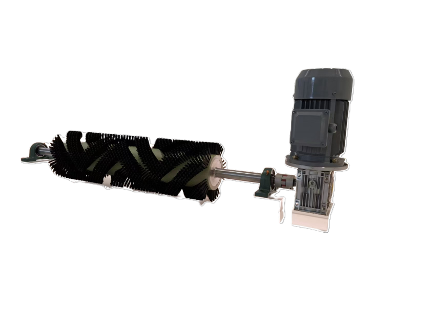 Electy Fromary Brush Belt mama